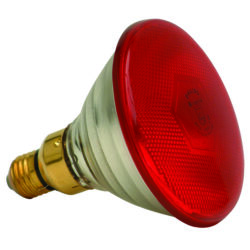 POLTEK LAMP INFRARED 175W