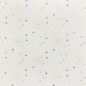 PVC Ceiling Panel MARCAN 30D64 300mm x 7mm